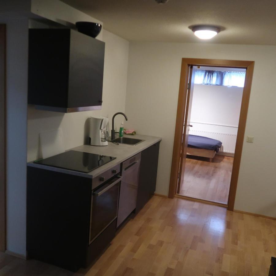 Large apartment close to the centre Reikiavik Exterior foto